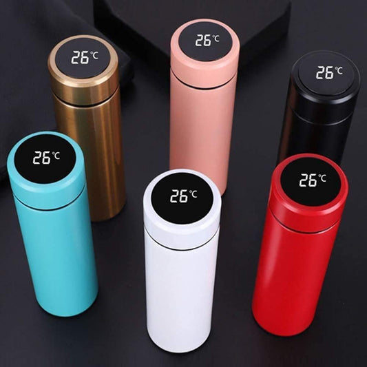 LED Temperature Display water bottle